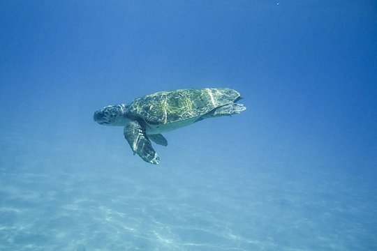 Tour image 6